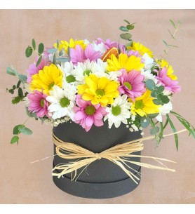 Mixed Daisy Flower Box